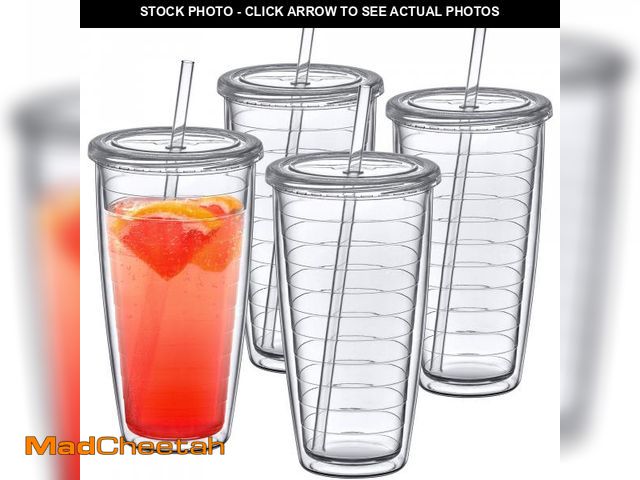 Lot 74-11546205 - Amazing Abby - Alaska On-the-Go - 24-Ounce Insulated Plastic Tumblers with Lid and Straw (Set of 4),...