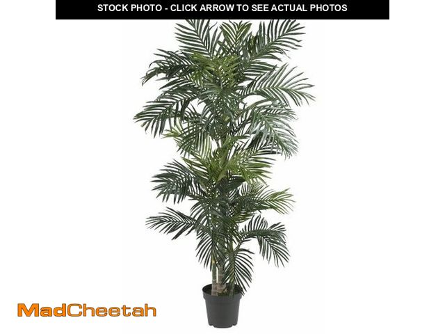 Lot 74-12695806 - Nearly Natural 6.5ft (78ÃÂ¢Ã¢âÂ¬ÃÂ³) Golden Cane Artificial Palm Tree - Lifelike Indoor Silk Pal...