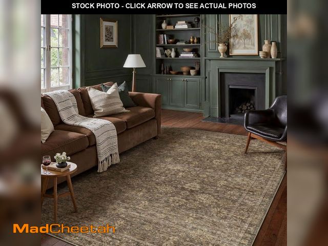 Lot 74-13053944 - BERTHMEER 9'x12' Area Rugs for Living Room Bedroom Office Dining Room Farmhouse Large Vintage Non Sl...