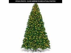 Lot 74-13657504 - undefined