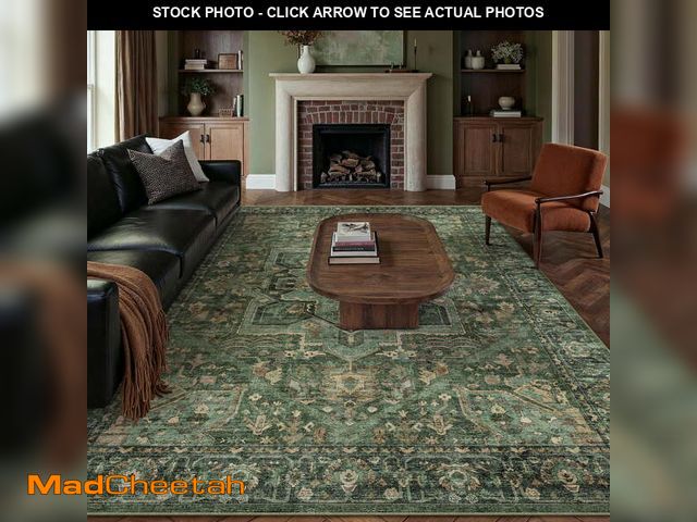 Lot 74-12813792 - BERTHMEER 9'x12' Area Rugs for Living Room Bedroom Dining Room Office Farmhouse Vintage Large Washab...