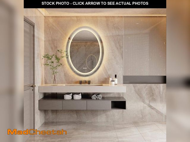 Lot 74-12471925 - Wisfor 20 in. W x 28 in. H Large Oval Frameless Anti-Fog Wall Dimmable Backlit Dual LED Bathroom Van...