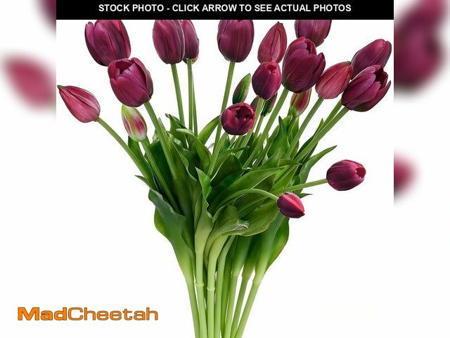 Lot 74-14264434 - Amore Florals 15 Pcs Purple Tulips Artificial Flowers Faux Tulips Real Touch Latex Fake Flower Bouqu...