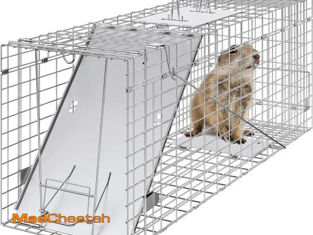 Lot 74-12510607 - VEVOR Live Animal Cage Trap, 31" x 10" x 12" Humane Cat Trap Galvanized Iron, Folding Animal Trap wi...