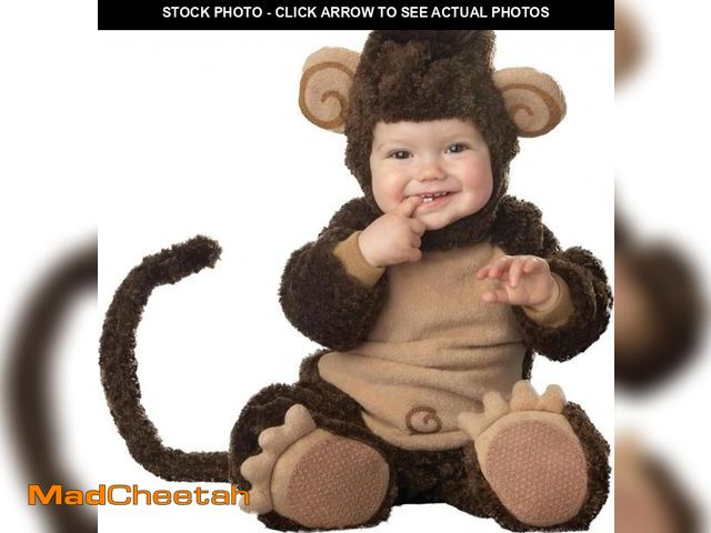 Lot 74-12399855 - InCharacter Costumes Baby's Lil' Monkey Costume, Brown/Tan, Medium (0-12 Months) - UNUSED