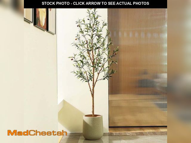 Lot 74-14435291 - DR.Planzen 6ft Artificial Olive Tree Indoor, Tall Faux Olive Tree, Artificial Plants with Natural Wo...