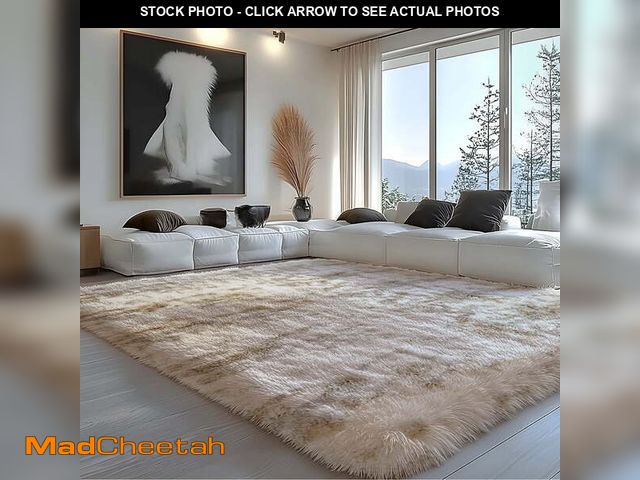 Lot 74-14286973 - Pentantan 9â x 12â Shag Area Rugs, Soft Fluffy Indoor Carpet for Living Room Bedroom Decor, Tie-...