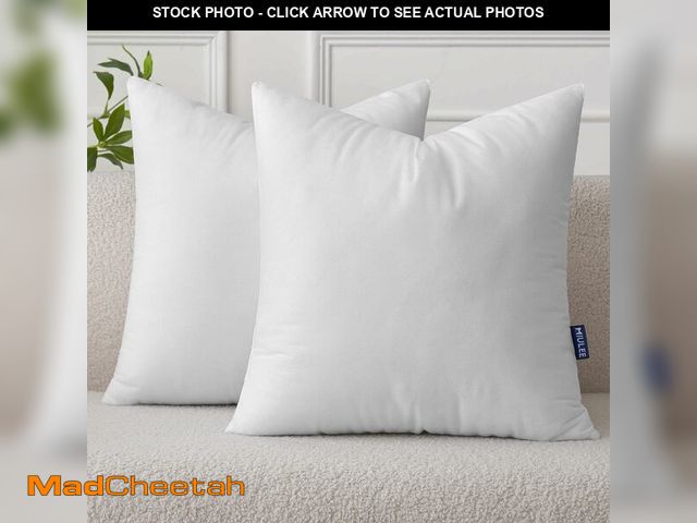 Lot 74-13627826 - MIULEE Set of 2 Throw Pillow Inserts 20x20 Inches, Nowoven Decorative Pillow Inserts for Living Room...