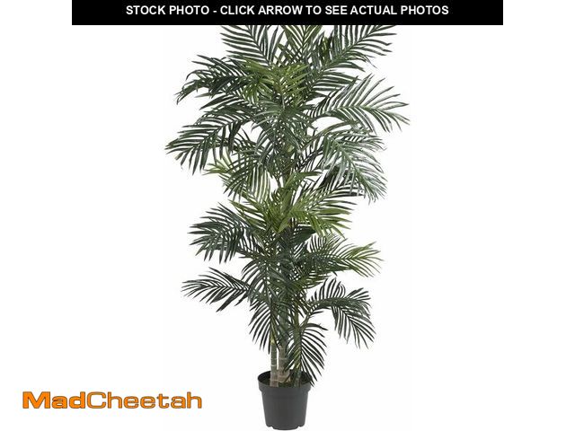 Lot 74-14068280 - Nearly Natural 6.5ft Artificial Golden Cane Palm Tree, Lifelike Silk Indoor Palm With Three Textured...