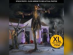 Lot 74-12811453 - undefined