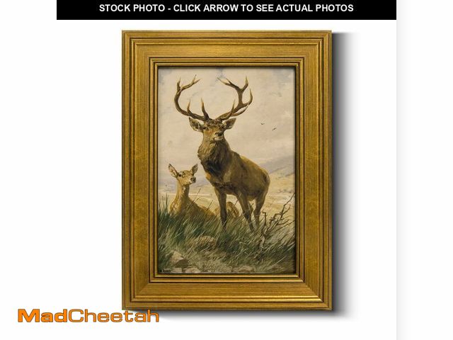 Lot 74-13964882 - Retro Gold Framed Wall Art, 12"x16" Artwork, Stag Oil Paintings Print Wall Decor for Living Room Bed...