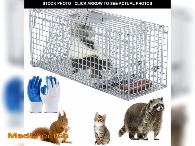 Lot 74-13696799 - iMounTEK Live Humane Animal Trap Cage Heavy Duty Folding Catch and Release Rodent Cage for Rabbit Sq...