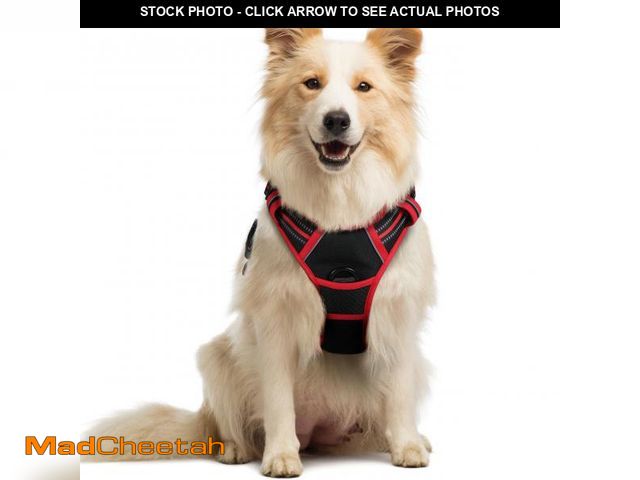 Lot 74-11555738 - rabbitgoo Dog Harness No Pull with 2 Leash Clips, Adjustable Soft Padded, Reflective Oxford No Choke...