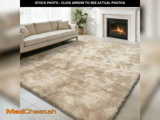 Lot 74-14213380 - Shag Area Rug for Bedroom 4x6,Fluffy Area Rugs for Living Room,Soft Fuzzy Rug Non-Shedding Indoor Pl...