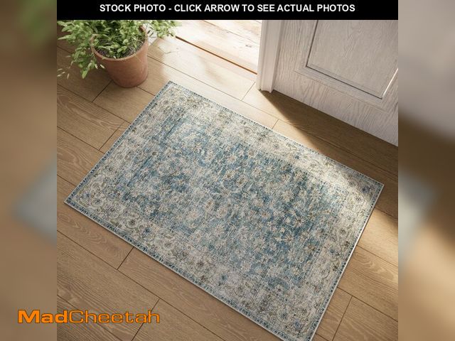 Lot 74-14269751 - Machine Washable Entryway Throw Rug: Door Mat Indoor Entrance 2x3 Rug Boho Small Area Rug Non-Slip L...