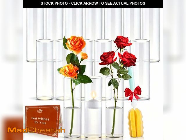 Lot 74-14422008 - 16Pcs Glass Cylinder Bud Vases for Centerpieces,7.7 In Tall Clear Flower Vases in Bulk,Glass Small V...