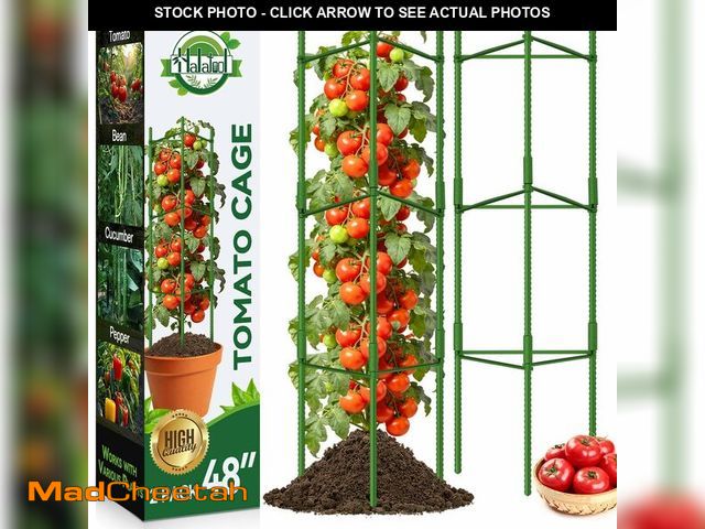 Lot 74-14476427 - Halatool 2 Pack Tomato Cages for Garden, Up to 48in (4FT) Trellis - UNUSED