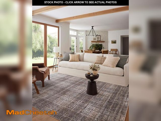 Lot 74-12137829 - Loloi Angela Rose Ember Collection EMB-05 Graphite/Multi 2'-3" x 3'-10" Accent Rug - UNUSED