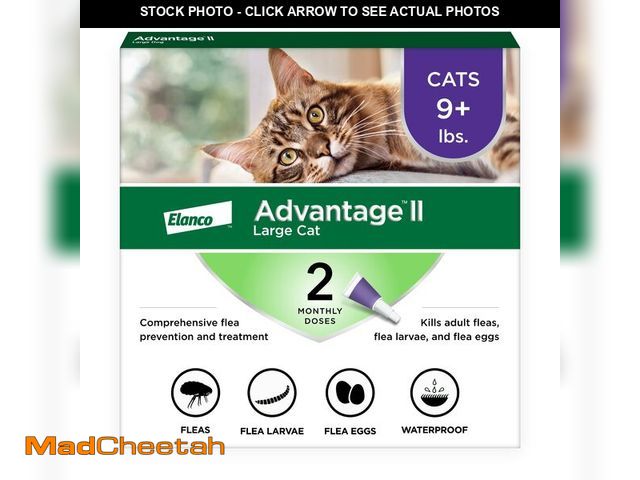 Lot 74-12968991 - Advantage II Large Cat Vet-Recommended Flea Treatment &amp; Prevention | Cats Over 9 lbs. | 2-Month ...