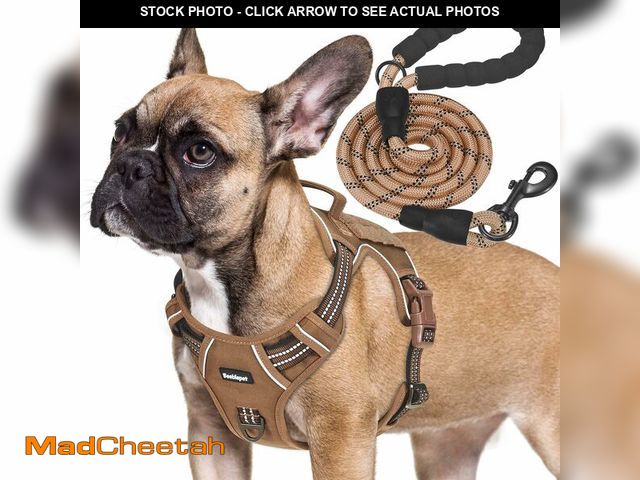 Lot 74-14378466 - Beebiepet Heavy Duty Tactical Dog Harness for Small Dogs, No Pull Adjustable Pet Harness Reflective ...