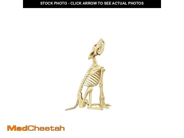 Lot 74-12771395 - Home Accent Holiday 2.5 ft. Animated Halloween Skeleton Wolf 21PA30050 - UNUSED