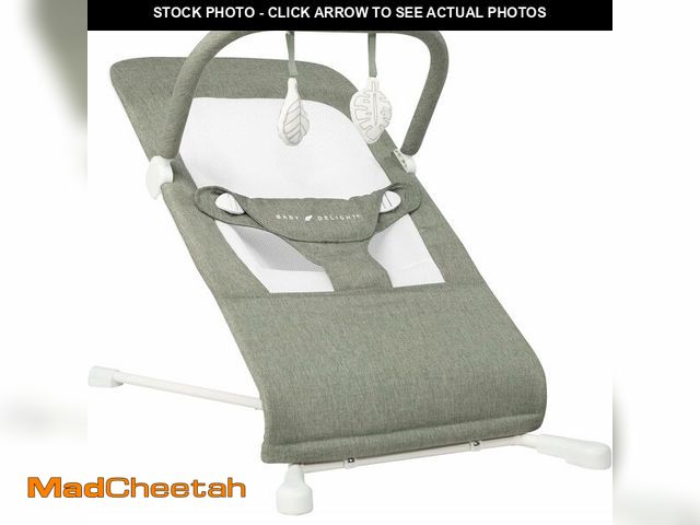 Lot 74-13733553 - Baby Delight Highland Baby Bouncer | Infant | 0 - 6 Months | 3-Position Recline - USED