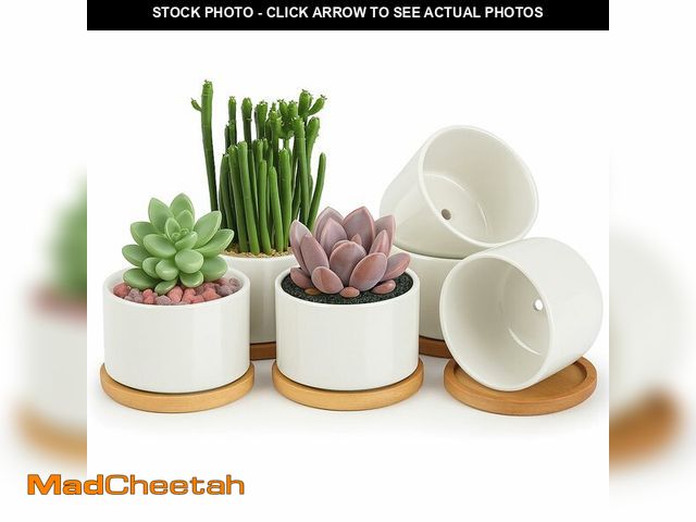 Lot 74-12719392 - ZOUTOG Ceramic Succulent Pots,4 Inch Plant Pots,Succulent Planters with Drainage Hole &amp; Bamboo T...