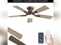 Lot 74-12707906 - undefined