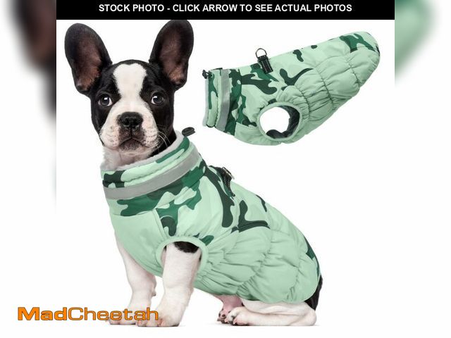 Lot 74-12714076 - Lelepet Warm Dog Winter Coat Dog Coats for Small Dogs Waterproof Dogs Jacket with Harness Built in R...