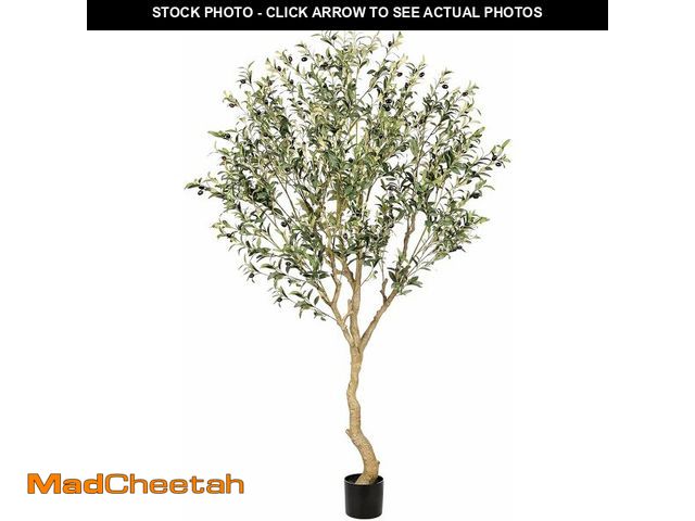 Lot 74-13927408 - Realead 7FT Olive Trees Artificial Indoor - Tall Faux Olive Tree 7 Feet with Realistic Leaves and Na...