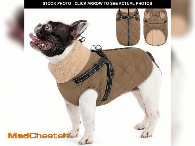 Lot 74-12976926 - Queenmore Dog Jackets for Medium Dogs, Dog Coat with Harness Built in, Waterproof Pet Winter Coat wi...
