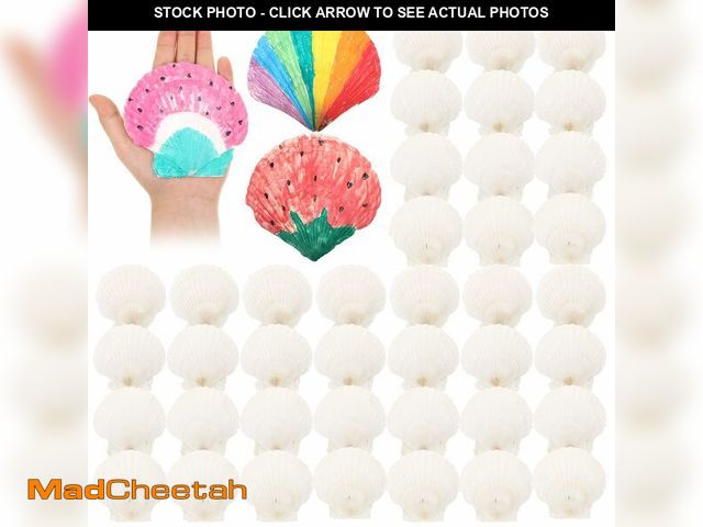 Lot 74-12972576 - GlikCeil 50 Pcs Sea Shell for Crafting Natural Large Scallop White Oyster Shells Bulk for Decorating...