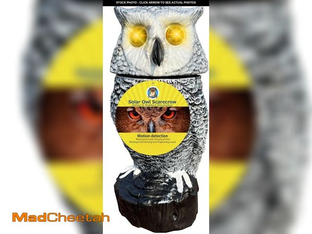 Lot 74-12311276 - Owlery Snowy Solar Owl With Motion Detector, Flashing Eyes, Spinning Head, Realistic Hooting and Sil...