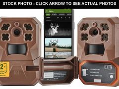 Lot 74-12118456 - undefined