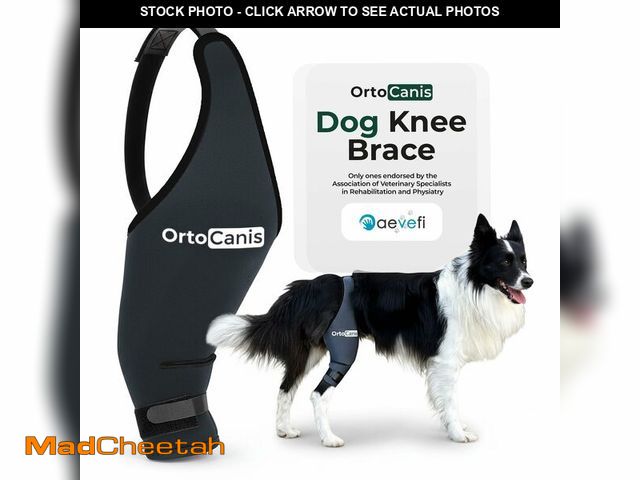 Lot 74-14151274 - Ortocanis Dog Knee Brace for Hind Leg Support Ã¢â¬â Flexible Neoprene Knee Brace for Dogs with Jo...