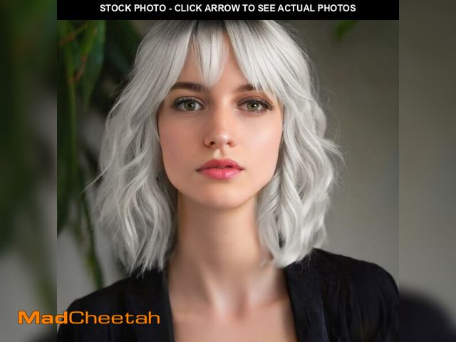 Lot 74-12456556 - MINLEE Silver Gray Wig with Bangs for Women 14 Inch Short Bob Wavy Curly Wig Gray Hair Wigs Heat Res...
