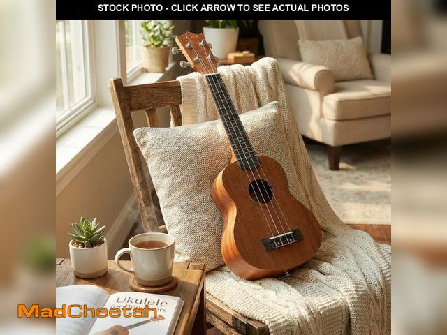 Lot 74-14309734 - Vault UK-100 24" Arched Back Concert Ukulele w/ Gig Bag - UNUSED
