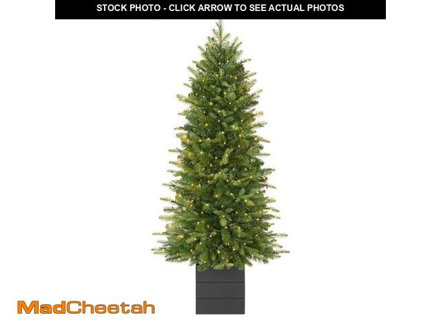 Lot 74-12869274 - Home Decorators Collection 4 ft. Grand Duchess Twinkling Balsam Fir Potted LED Pre-Lit Artificial Tr...