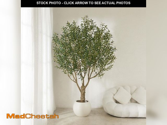 Lot 74-13866361 - DR.Planzen 8ft.Artificial Olive Tree Indoor/Outdoor, Faux Plant with UV-Resistant in Black Planter f...