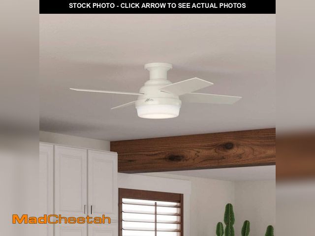 Lot 74-14359174 - Hunter Dempsey 44 in. Fresh White Low Profile Indoor Ceiling Fan with LED Light Kit and Handheld Rem...