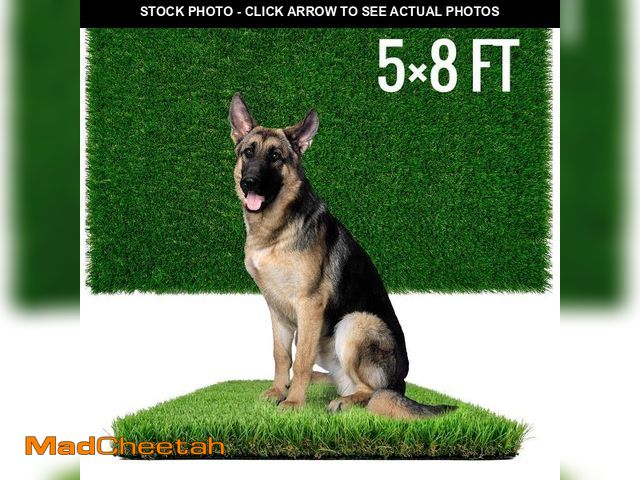 Lot 74-12488825 - Sunturf Dog Pee Grass, Artificial Grass for Dogs, Fake Grass for Dogs Potty Training, Extra Large Do...