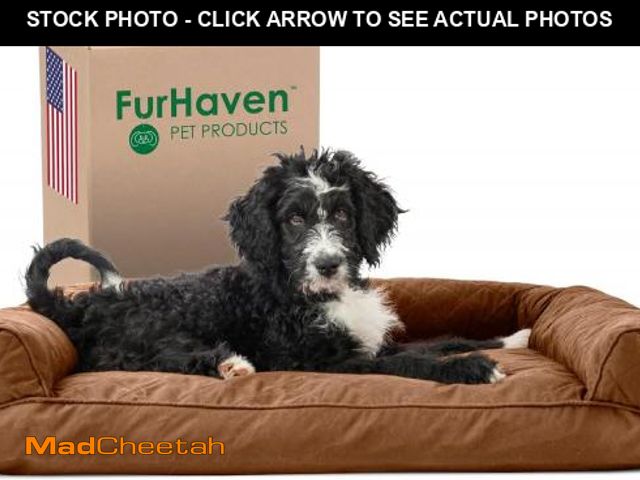 Lot 74-12510195 - Furhaven Pillow Dog Bed for Large/Medium Dogs w/ Removable Bolsters &amp; Washable Cover - Quilted S...