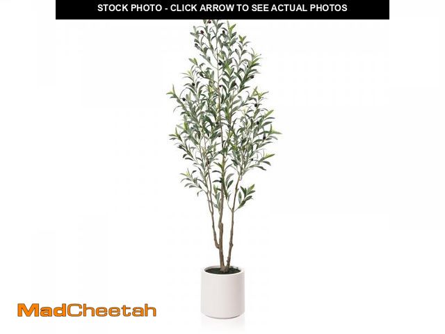 Lot 74-12418572 - LOMANTO Artificial Olive Trees, 6 ft Tall Fake Olive Trees for Indoor, Faux Olive Silk Tree, Large O...
