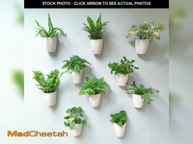 Lot 74-12455644 - LaLaGreen Wall Mounted Planters for Indoor Plants - 10 Pack, 5 Inch Self Watering Plastic Pot, Livin...