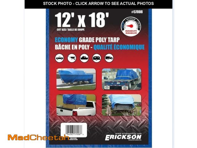 Lot 74-12557889 - (MISSING ONE TARP)Erickson 12 ft. x 18 ft. Blue Light Duty Poly Tarps with Grommeted Corners - UNUSE...