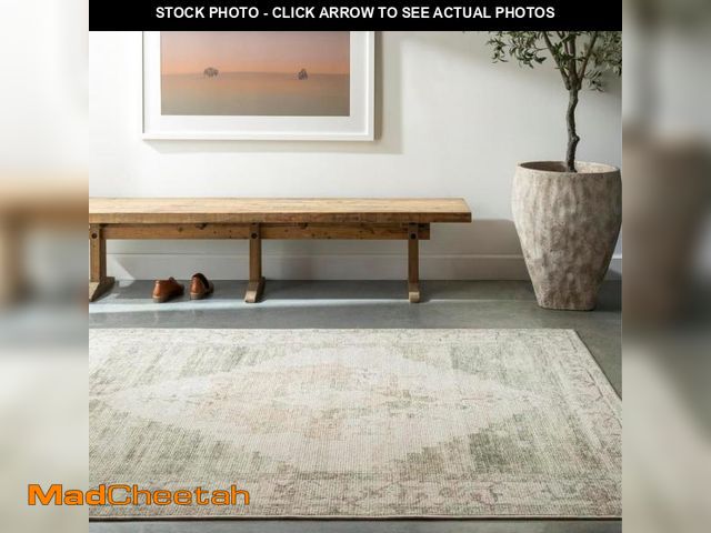 Lot 74-12287845 - Livabliss x Becki Owens Luca Medallion Area Rug, 5'3" x 7', Olive - UNUSED