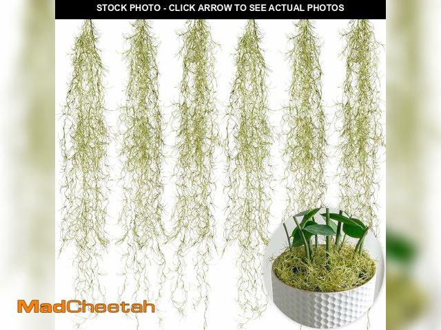 Lot 74-12674202 - SEEKO Succulents Extra Large Spanish Moss (6pck, 6oz, 33" Long) - Fake Moss for Crafts - UNUSED