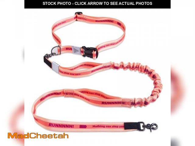 Lot 74-12308352 - JC HOUSE Hands Free Dog Leash with Waist Belt  Replacement, Dual Handle Bungee Leash for Running, Jo...