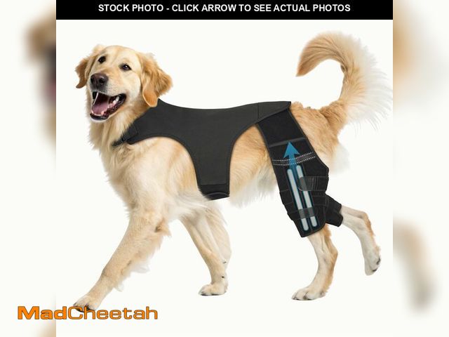 Lot 74-14338210 - Pawfun Dog Knee Brace for Torn ACL Hind Leg Helps with Torn CCL, Luxating Patella, Ligament Injuries...