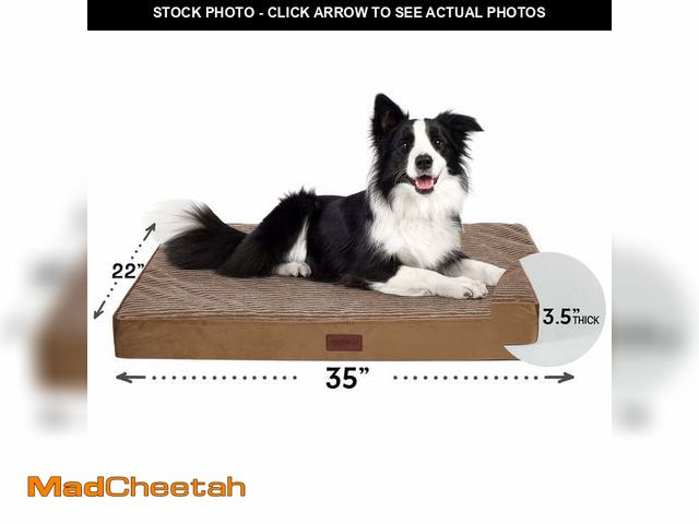 Lot 74-14436705 - Ophanie Orthopedic Dog Bed for Large Dogs with Removable Washable Cover, Non-Slip Bottom &amp; Water...